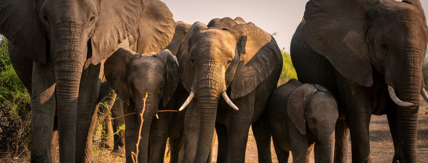 Botswana