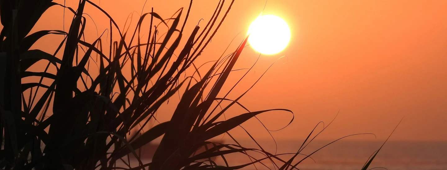 Cyprus