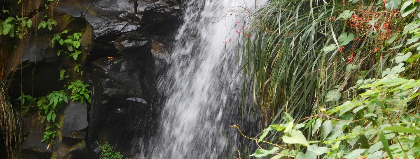 Grenada