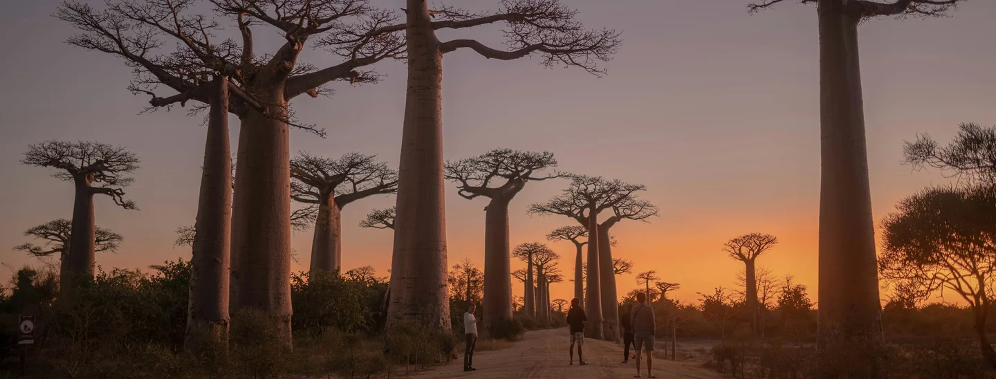 Madagascar